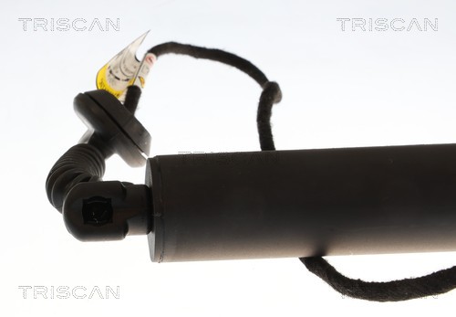 Triscan Gasveer, kofferruimte 8710 16317