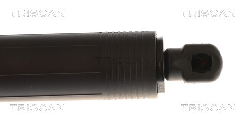 Triscan Gasveer, kofferruimte 8710 16317