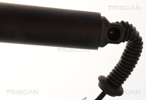 Triscan Gasveer, kofferruimte 8710 16318