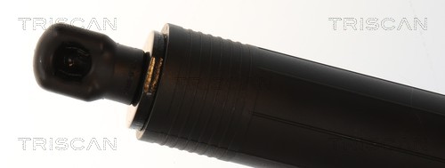 Triscan Gasveer, kofferruimte 8710 16318