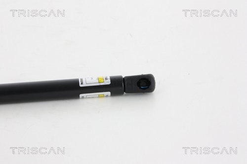 Triscan Gasveer, kofferruimte 8710 18228