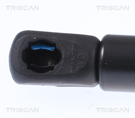 Triscan Gasveer, kofferruimte 8710 18244