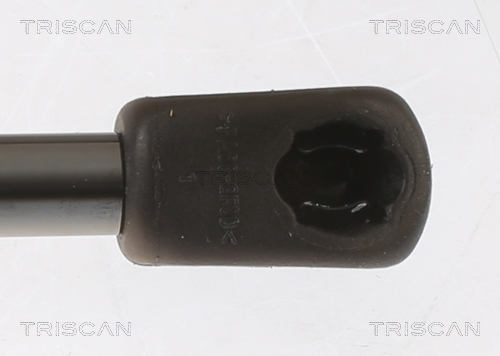 Triscan Gasveer, kofferruimte 8710 18245