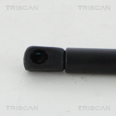 Triscan Gasveer, kofferruimte 8710 20105