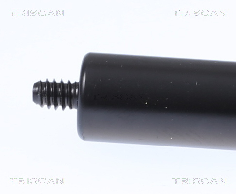 Triscan Gasveer, motorkap 8710 23135