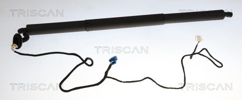Gasveer, kofferruimte Triscan 8710 23315