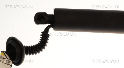 Triscan Gasveer, kofferruimte 8710 23315
