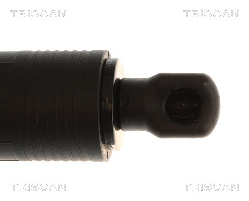 Triscan Gasveer, kofferruimte 8710 23315