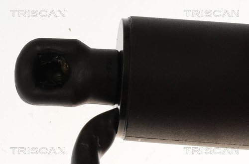Triscan Gasveer, kofferruimte 8710 23317