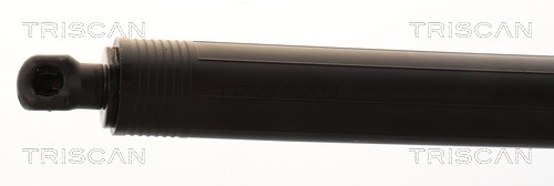 Triscan Gasveer, kofferruimte 8710 23317