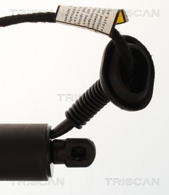 Triscan Gasveer, kofferruimte 8710 23318