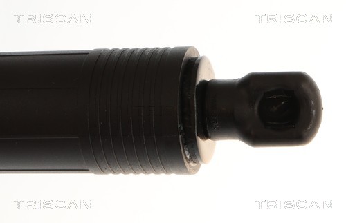 Triscan Gasveer, kofferruimte 8710 23318