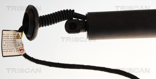 Triscan Gasveer, kofferruimte 8710 23319