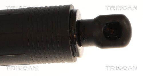 Triscan Gasveer, kofferruimte 8710 23319