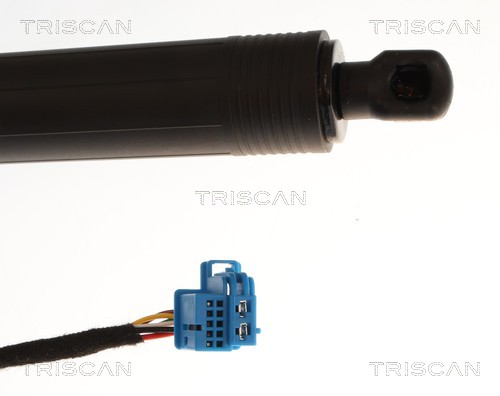 Triscan Gasveer, kofferruimte 8710 23319