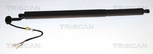 Triscan Gasveer, kofferruimte 8710 23320