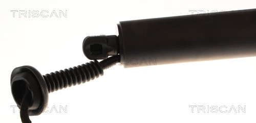 Triscan Gasveer, kofferruimte 8710 23320