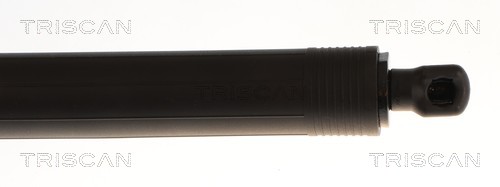 Triscan Gasveer, kofferruimte 8710 23320