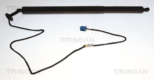 Triscan Gasveer, kofferruimte 8710 23321