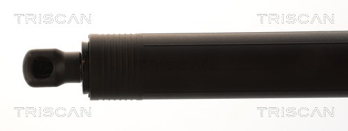 Triscan Gasveer, kofferruimte 8710 23321