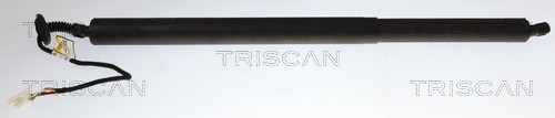 Triscan Gasveer, kofferruimte 8710 23322