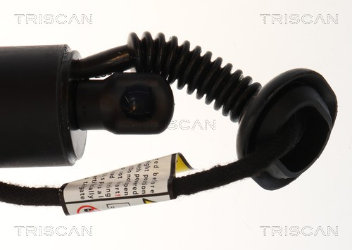 Triscan Gasveer, kofferruimte 8710 23322