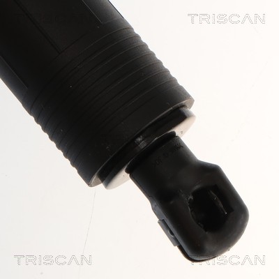 Triscan Gasveer, kofferruimte 8710 23322