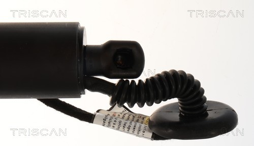Triscan Gasveer, kofferruimte 8710 23323