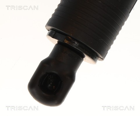 Triscan Gasveer, kofferruimte 8710 23323