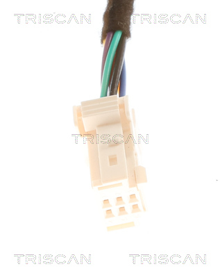 Triscan Gasveer, kofferruimte 8710 24301