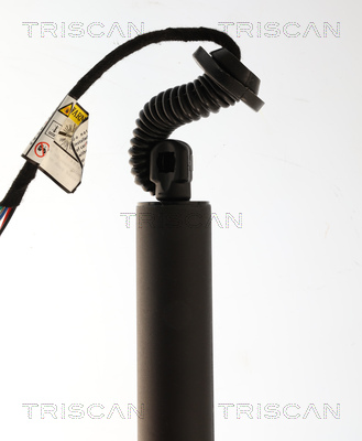 Triscan Gasveer, kofferruimte 8710 24303