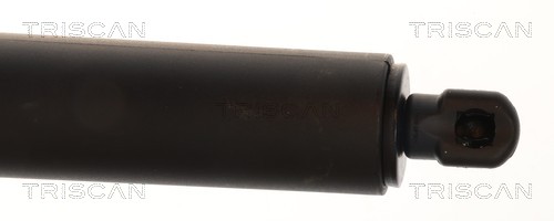 Triscan Gasveer, kofferruimte 8710 24305