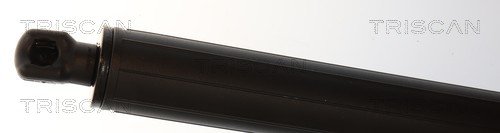 Triscan Gasveer, kofferruimte 8710 24305
