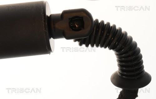 Triscan Gasveer, kofferruimte 8710 24306