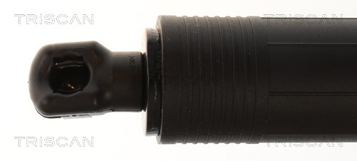 Triscan Gasveer, kofferruimte 8710 24306
