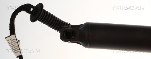 Triscan Gasveer, kofferruimte 8710 24307