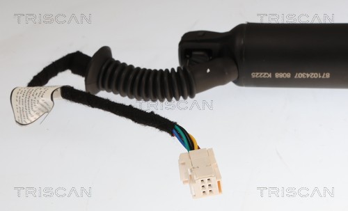 Triscan Gasveer, kofferruimte 8710 24307