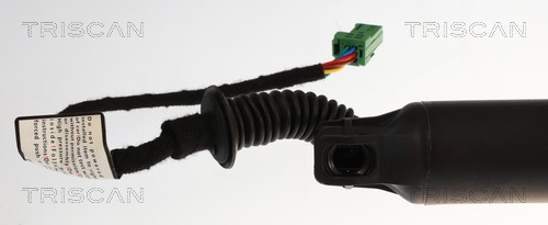 Triscan Gasveer, kofferruimte 8710 24308