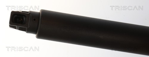 Triscan Gasveer, kofferruimte 8710 24308