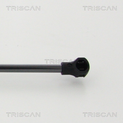 Triscan Gasveer, motorkap 8710 25113