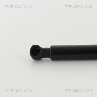 Triscan Gasveer, motorkap 8710 25113