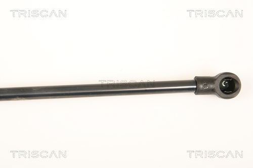 Triscan Gasveer, kofferruimte 8710 25245