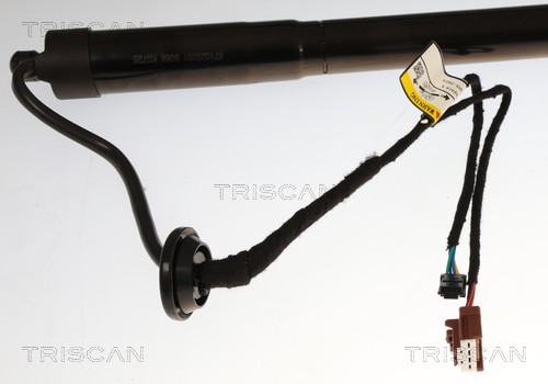Triscan Gasveer, kofferruimte 8710 25301