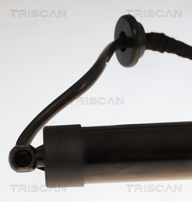 Triscan Gasveer, kofferruimte 8710 25301