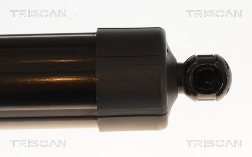 Triscan Gasveer, kofferruimte 8710 25301