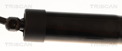 Triscan Gasveer, kofferruimte 8710 25302