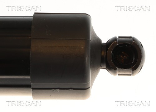 Triscan Gasveer, kofferruimte 8710 25302