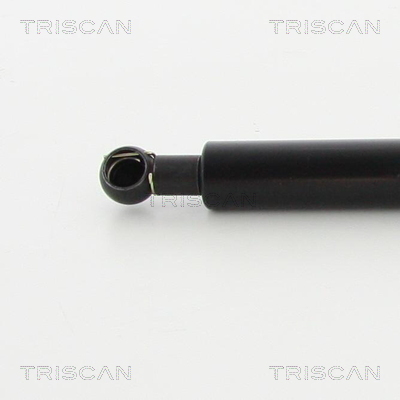 Triscan Gasveer, kofferruimte 8710 27226