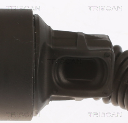 Triscan Gasveer, kofferruimte 8710 27303