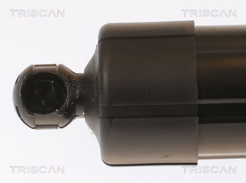 Triscan Gasveer, kofferruimte 8710 27307